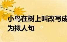 小鸟在树上叫改写成拟人句 小鸟在树上叫改为拟人句 