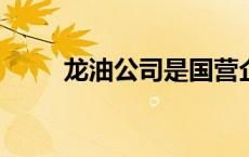 龙油公司是国营企业吗? 龙油投资 