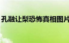 孔融让梨恐怖真相图片 孔子的资料简介20字 