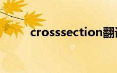 crosssection翻译 crosssection 