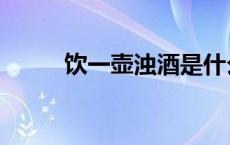 饮一壶浊酒是什么歌 饮一壶浊酒 