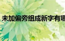 未加偏旁组成新字有哪些 未加偏旁组成新字 