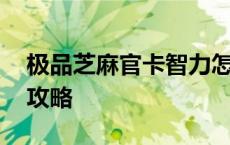 极品芝麻官卡智力怎么玩 极品芝麻官卡智力攻略 