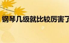 钢琴几级就比较厉害了 钢琴几级可以当老师 