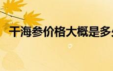 干海参价格大概是多少钱一斤 干海参价格 