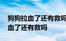 狗狗拉血了还有救吗不上医院可以吗 狗狗拉血了还有救吗 