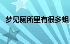 梦见厕所里有很多蛆 厕所里的蛆怎么杀死 