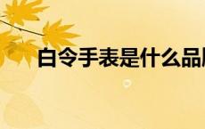 白令手表是什么品牌 白令手表怎么样 