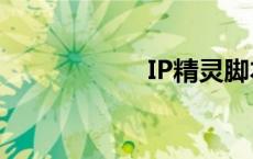 IP精灵脚本 ip精灵 