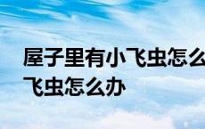 屋子里有小飞虫怎么办彻底消灭 屋子里有小飞虫怎么办 