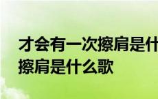 才会有一次擦肩是什么歌的歌词 才会有一次擦肩是什么歌 