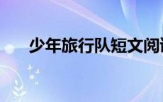 少年旅行队短文阅读答案 少年旅行队 