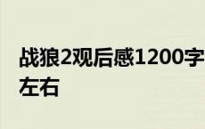 战狼2观后感1200字左右 战狼2观后感200字左右 