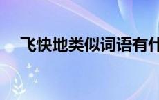 飞快地类似词语有什么 飞快地类似词语 