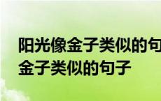 阳光像金子类似的句子比什么还宝贵 阳光像金子类似的句子 