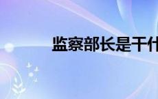 监察部长是干什么的 监察部长 