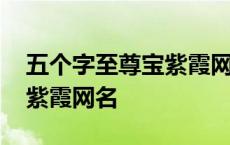 五个字至尊宝紫霞网名叫什么 五个字至尊宝紫霞网名 