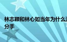 林志颖和林心如当年为什么没有在一起 林志颖林心如为什么分手 