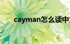 cayman怎么读中文 cayman怎么读 