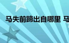 马失前蹄出自哪里 马失前蹄下一句是什么 