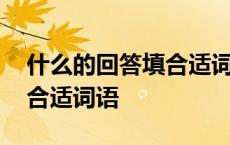 什么的回答填合适词语二年级 什么的回答填合适词语 