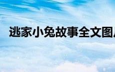 逃家小兔故事全文图片 逃家小兔故事全文 