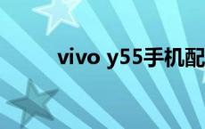 vivo y55手机配置 vivoy55配置 