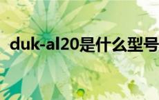 duk-al20是什么型号 dukal20是什么型号 