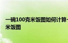 一碗100克米饭图如何计算一碗饭等于多少粒米 一碗100克米饭图 