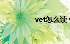 vet怎么读 web怎么读 