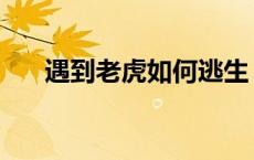 遇到老虎如何逃生 遇到老虎怎么逃生 