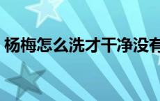 杨梅怎么洗才干净没有盐 杨梅怎么洗才干净 