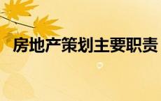 房地产策划主要职责 房地产策划工作内容 