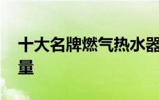 十大名牌燃气热水器排名 华帝燃气热水器质量 