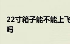 22寸箱子能不能上飞机 国内22寸箱子可登机吗 