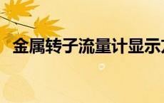 金属转子流量计显示方式 金属转子流量计 