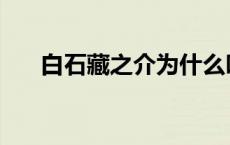 白石藏之介为什么叫藏琳 白石藏之介 