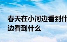 春天在小河边看到什么里看到了 春天在小河边看到什么 