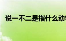 说一不二是指什么动物 说一不二打一生肖 