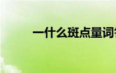 一什么斑点量词答案 一什么斑点 