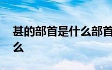 甚的部首是什么部首是什么字 甚的部首是什么 