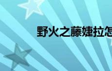 野火之藤婕拉怎么样 野火之藤 