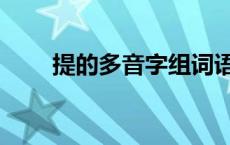 提的多音字组词语 提的多音字组词 