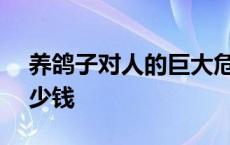 养鸽子对人的巨大危害 养500对鸽子投资多少钱 