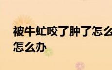 被牛虻咬了肿了怎么办图片 被牛虻咬了肿了怎么办 