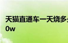 天猫直通车一天烧多少钱 天猫运营直通车烧20w 