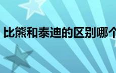 比熊和泰迪的区别哪个贵 比熊和泰迪的区别 