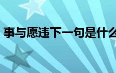 事与愿违下一句是什么 事与愿违是什么意思 