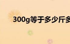 300g等于多少斤多少两 300g是几斤 