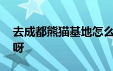 去成都熊猫基地怎么走 成都熊猫基地怎么去呀 